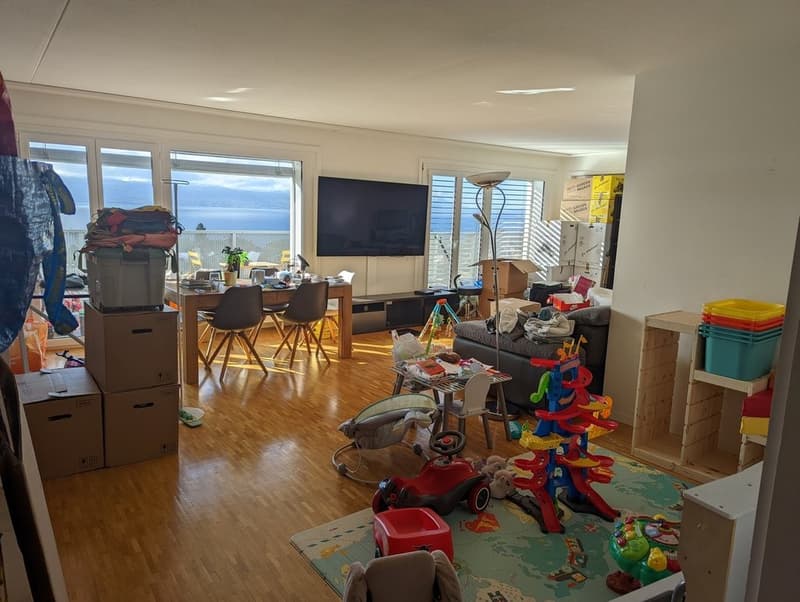 Très bel appartement lumineux (6)