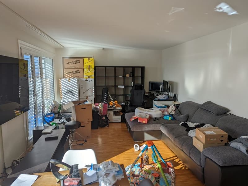 Très bel appartement lumineux (8)