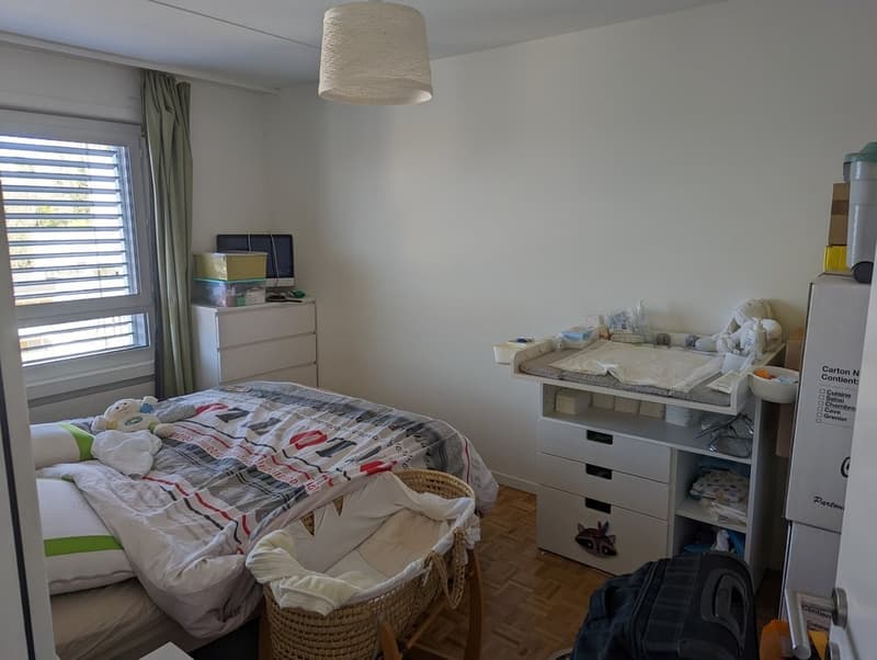 Très bel appartement lumineux (4)