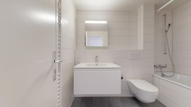 754001000105-Rue-De-LEvole-53-2000-Neuchatel-04302025_170400.jpg