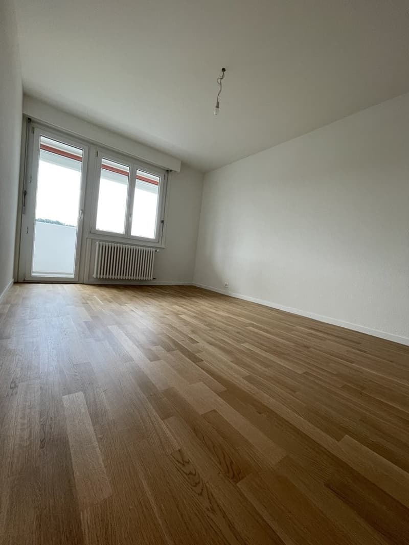 Appartement de 2 pièces entièrement rénové (5)