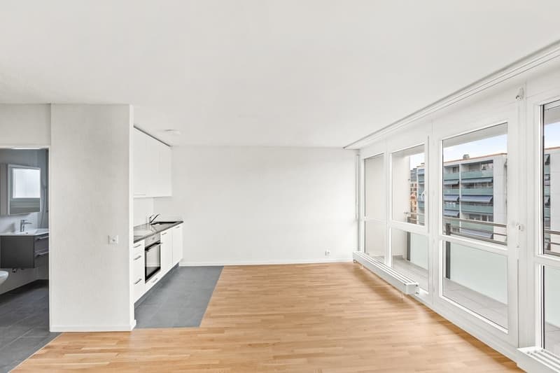 Spacieux studio entièrement rénové (2)