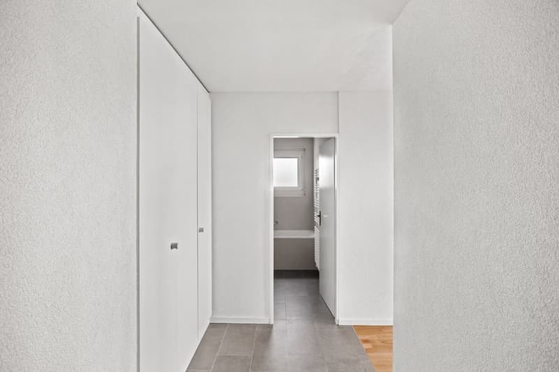 Spacieux studio entièrement rénové (4)