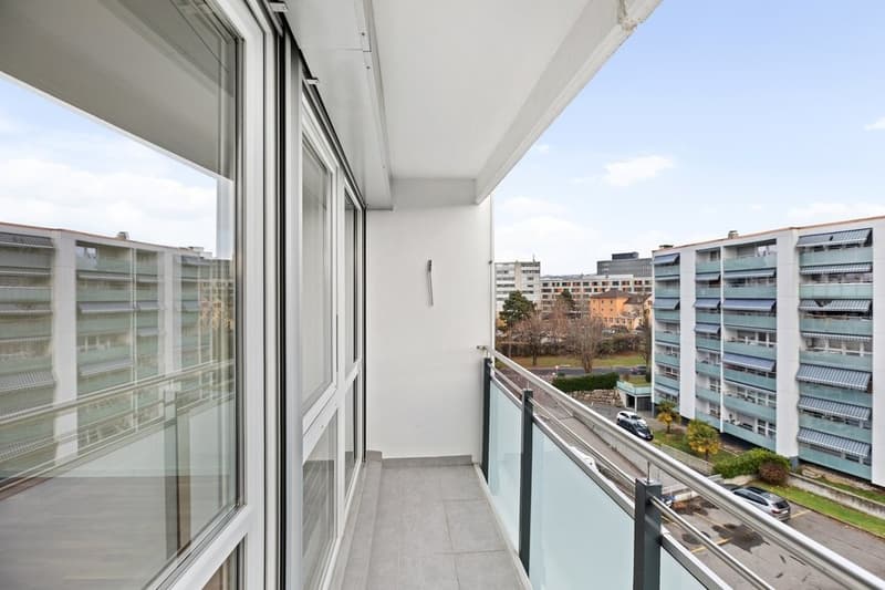 Spacieux studio entièrement rénové (6)