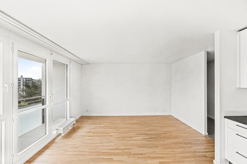 Spacieux studio entièrement rénové (3)