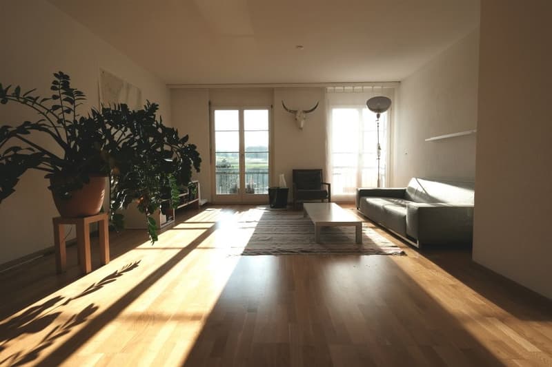 Spacieux logement au centre-ville (2)