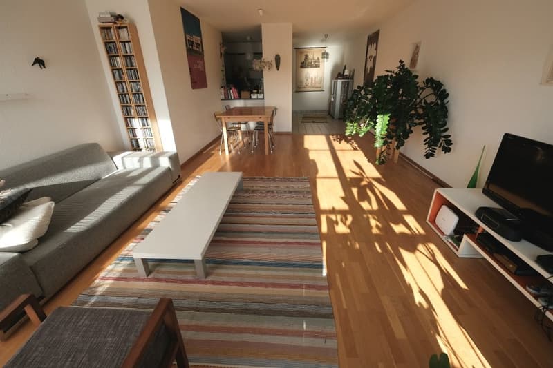 Spacieux logement au centre-ville (3)