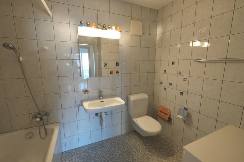 Spacieux logement au centre-ville (9)