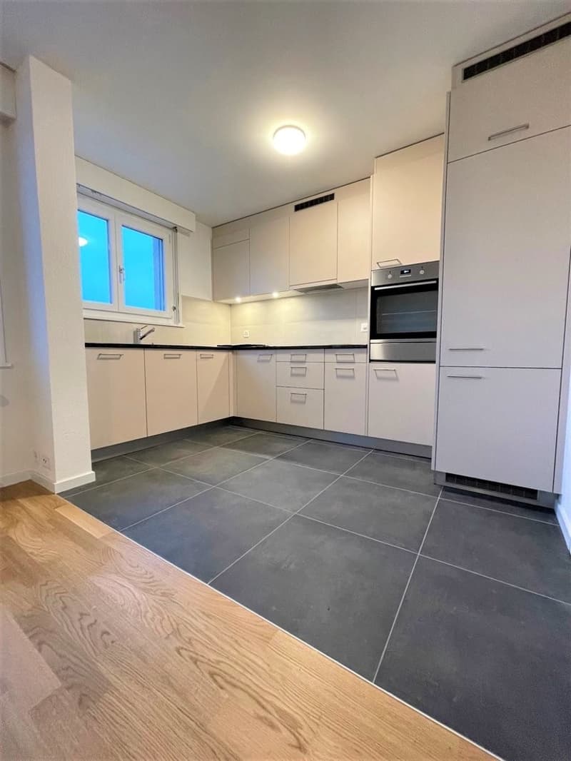 Bel appartement de 3 pces rénové (1)