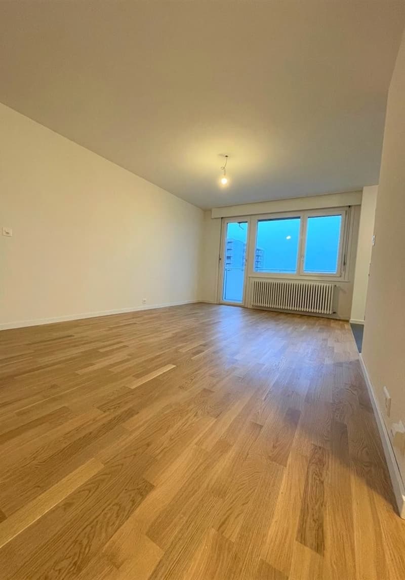 Bel appartement de 3 pces rénové (5)
