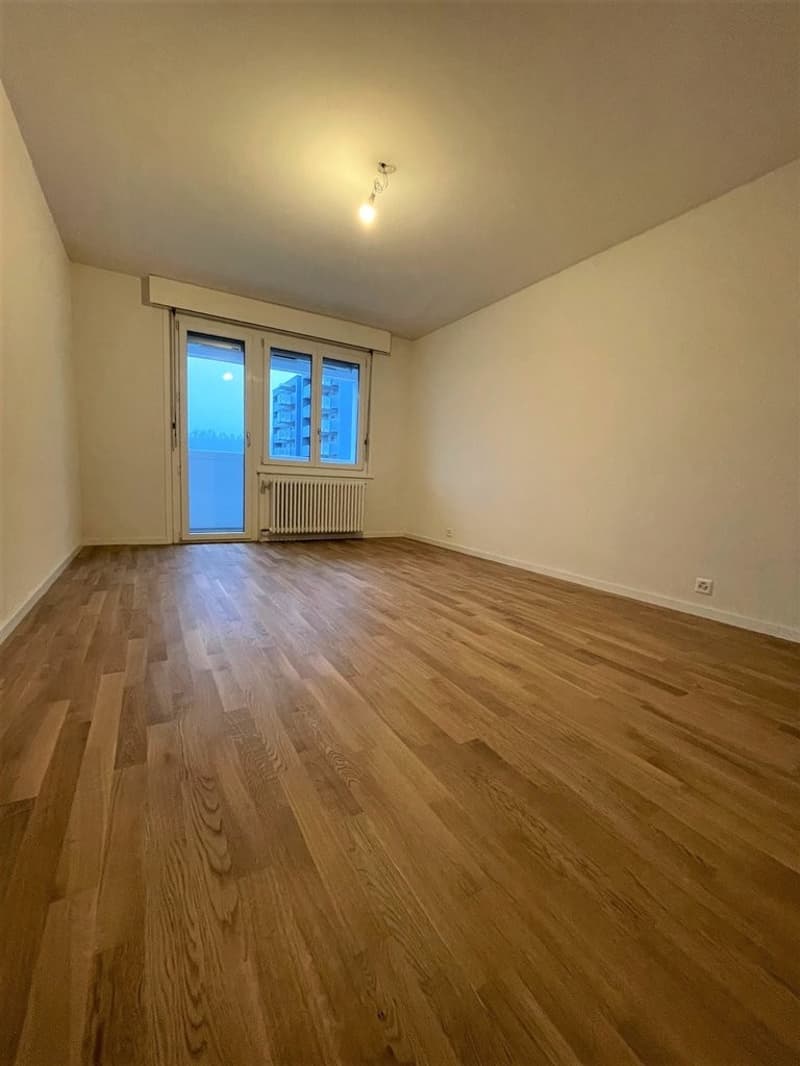 Bel appartement de 3 pces rénové (3)