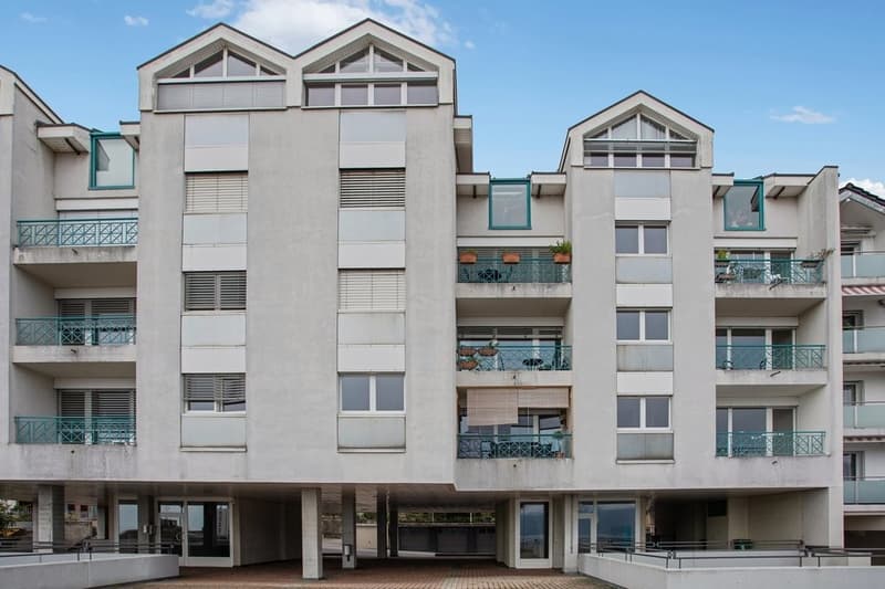 Superbe logement avec vue sur le lac (4)