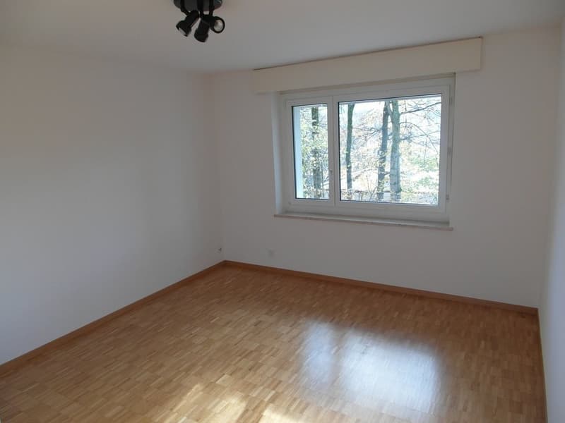 Preiswertes Studio in der Nähe der Uni/Fachhochschule (5)