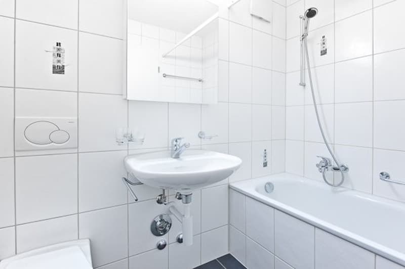 Parterrewohnung mit grossem Sitzplatz (5)