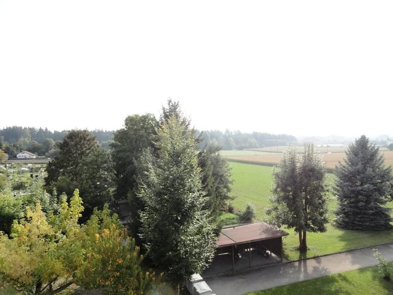 Ländliche Idylle (6)