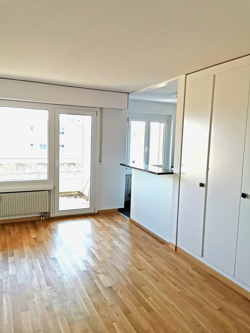 Ideale Singlewohnung! (6)