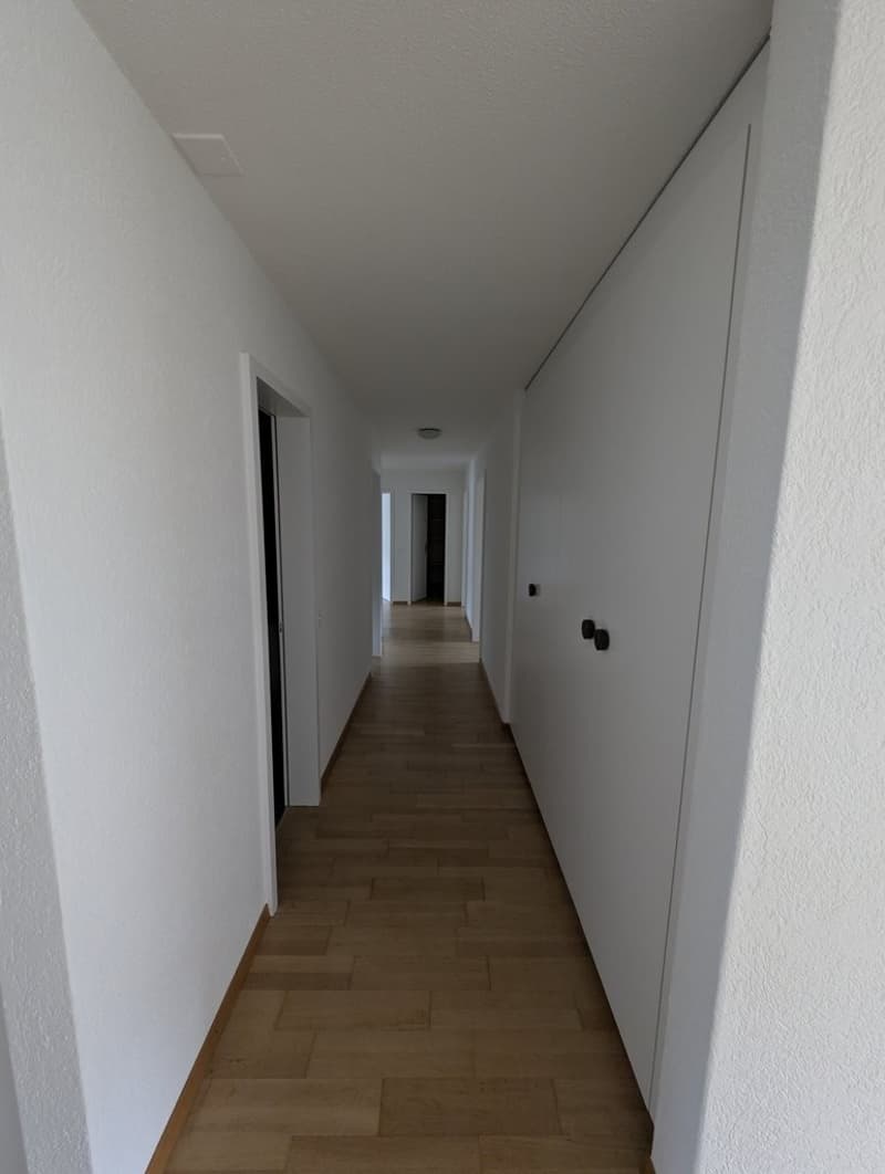 PXL_20241218_144128987.jpg