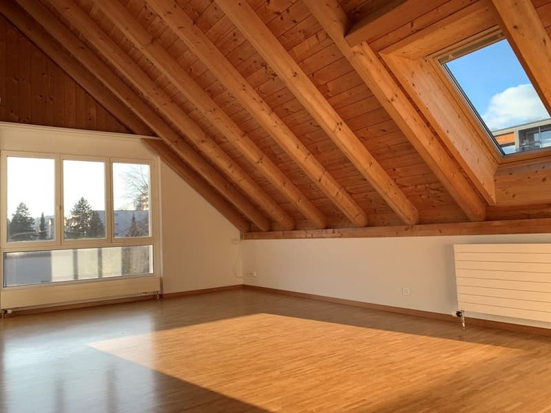 Sonnige Wohnung mit grosszügiger Galerie (6)