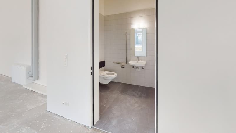 Toiletten-Analge 1