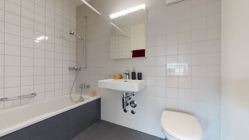 Livit-NL-BE-B73406302-Zentrumweg-10-Biberist-07272022_021555.jpg
