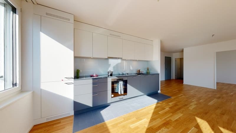 Livit-NL-BE-B73406302-Zentrumweg-10-Biberist-07272022_021032.jpg