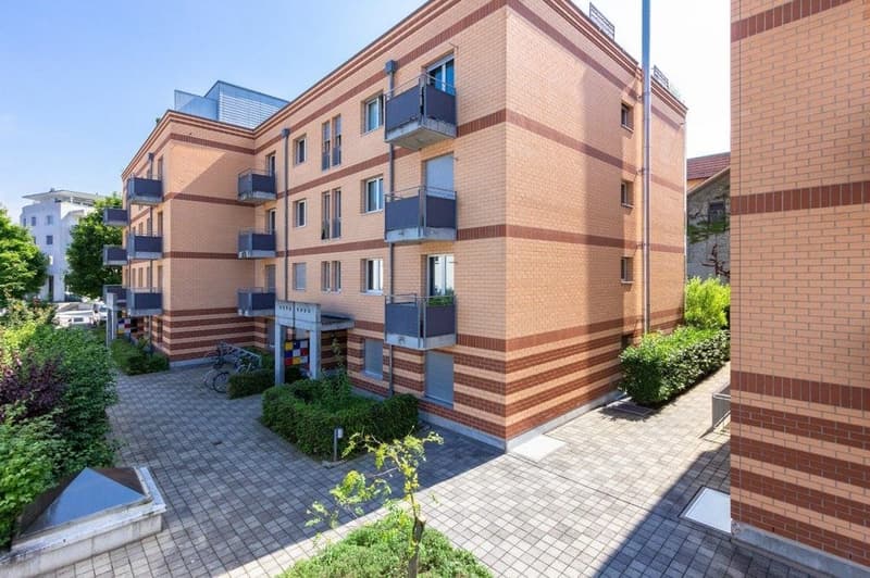 Sonne tanken auf dem grossem Balkon! (9)
