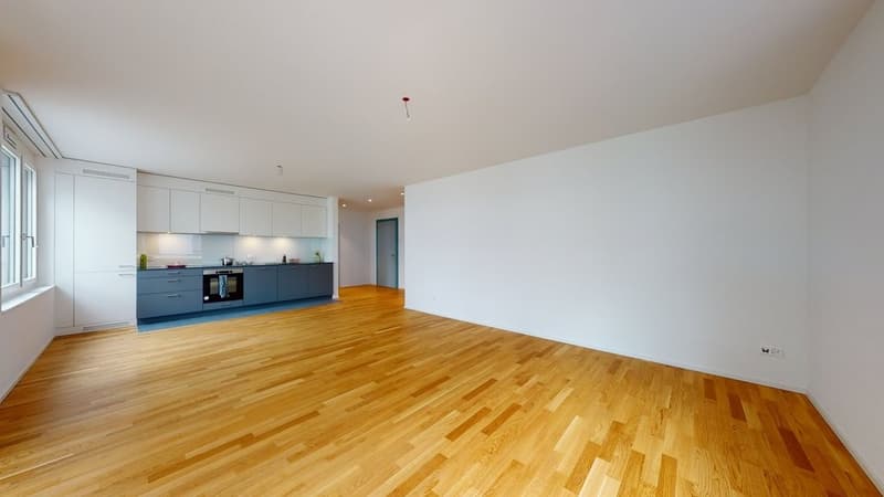 Livit-NL-BE-B73402104-Zentrumweg-4-4562-Biberist-07272022_035410.jpg