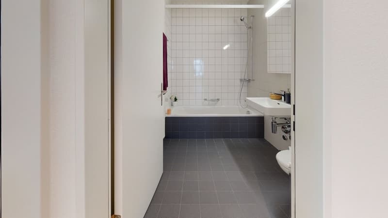 Livit-NL-BE-B73402104-Zentrumweg-4-4562-Biberist-Bathroom.jpg