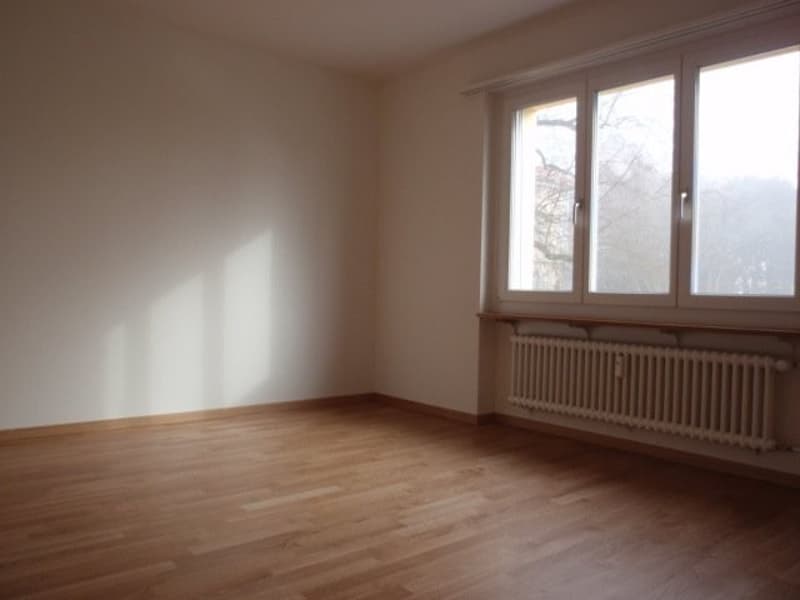 Renovierte 3.5-Zimmer-Wohnung mit Balkon in Solothurn (11)