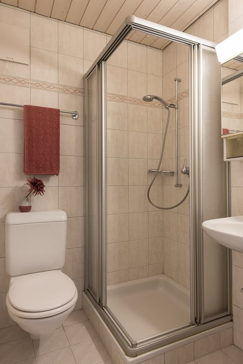 Perfekte Wohnung mitten in der Stadt! (5)