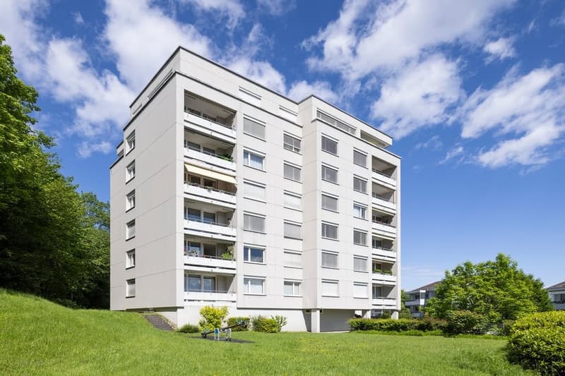 0052_Luzern_Hirtenhofring_16-20-1929.png