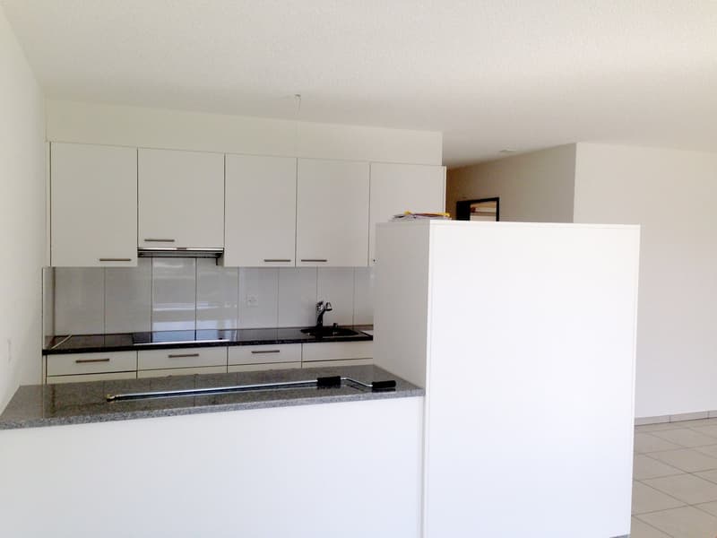 Helle 3.5-Zimmer-Wohnung mit Balkon und schöner Aussicht in Fulenbach (5)