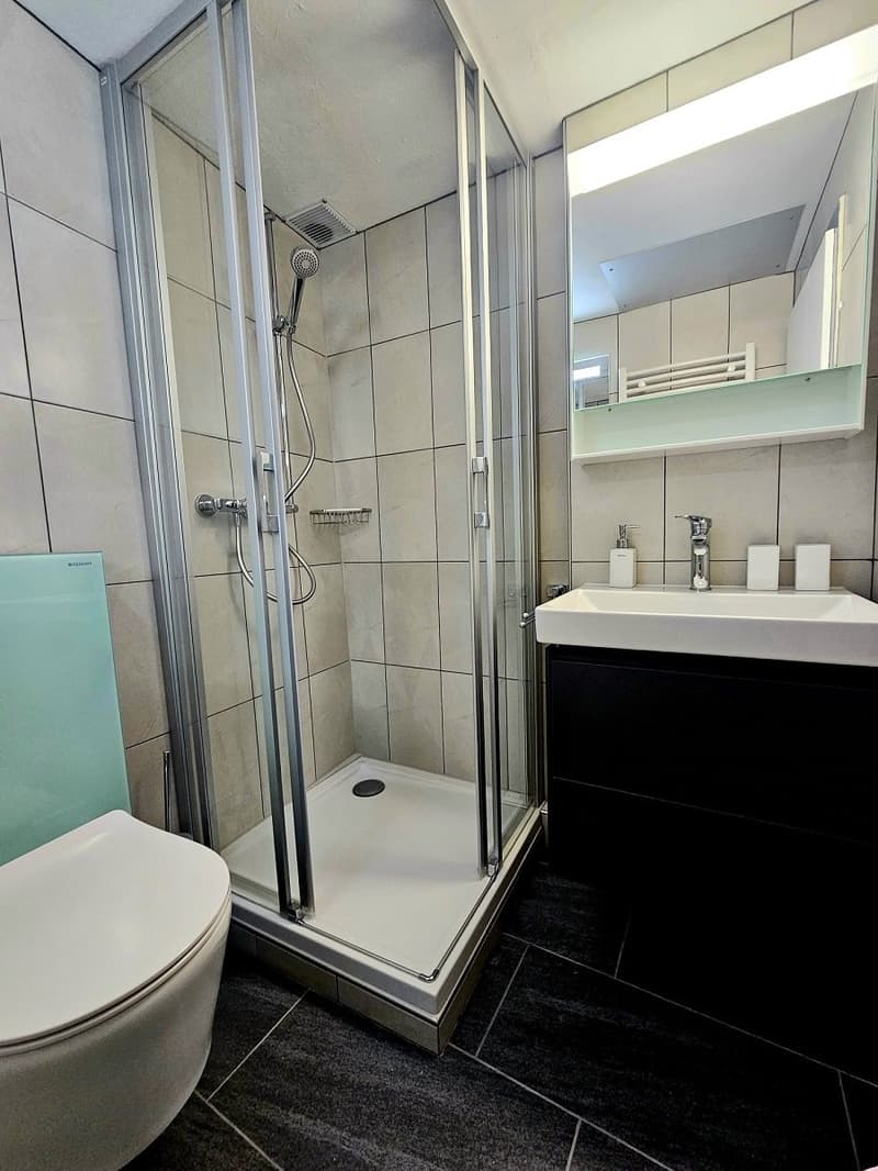 Charmant appartement 1.5 pièces rénové à Sierre (2)