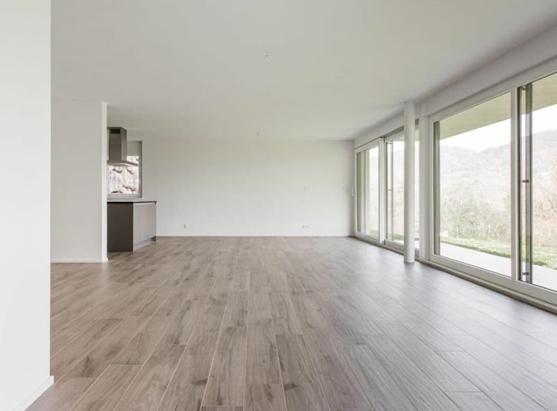 Appartement 4.5 pièces aux Monts-de-Corsier (14)