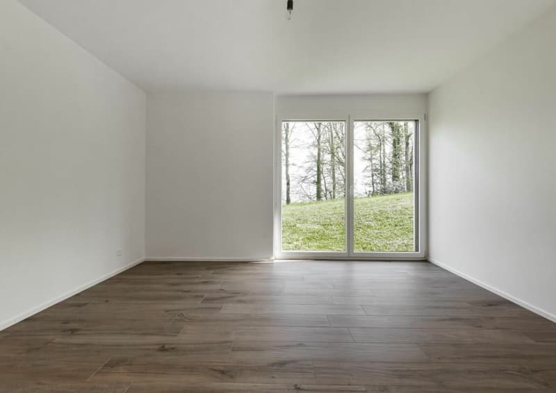 Appartement 4.5 pièces aux Monts-de-Corsier (9)