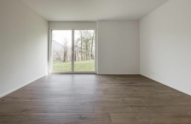 Appartement 4.5 pièces aux Monts-de-Corsier (11)