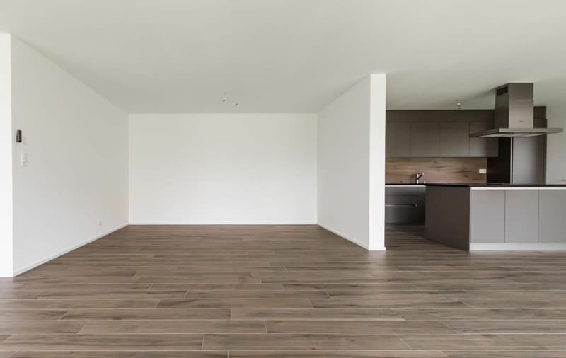 Appartement 4.5 pièces aux Monts-de-Corsier (3)