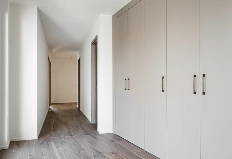 Appartement 4.5 pièces aux Monts-de-Corsier (4)