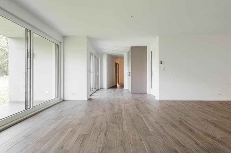 Appartement 4.5 pièces aux Monts-de-Corsier (12)