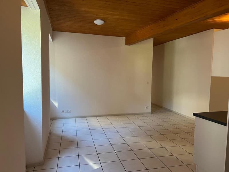 Immeuble de rendement au coeur de Salvan (5)