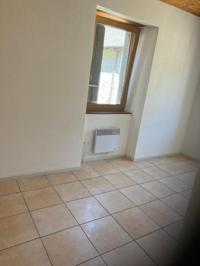 Immeuble de rendement au coeur de Salvan (6)