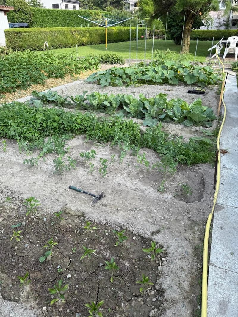 Charmant appartement 4.5 pièces avec jardin à Chippis (11)