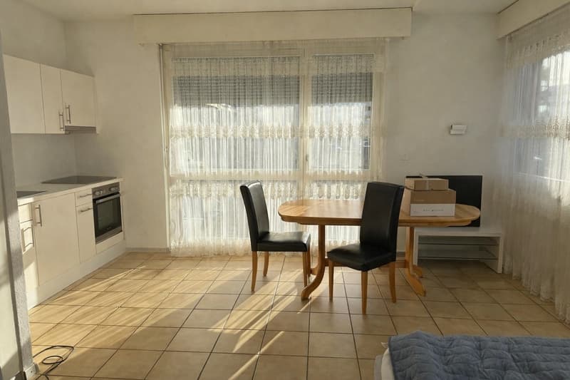 Studio1.5 pièces avec terrasse à Conthey (3)