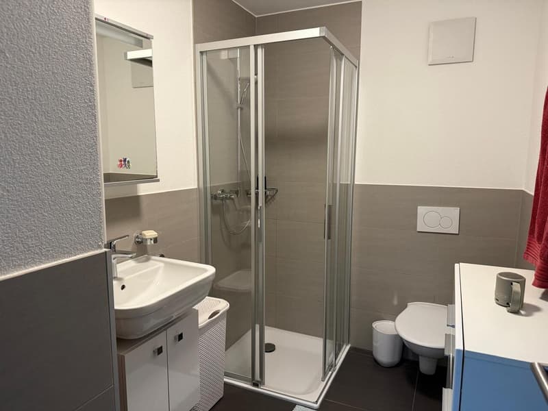 Appartement 3.5 à Sierre (10)