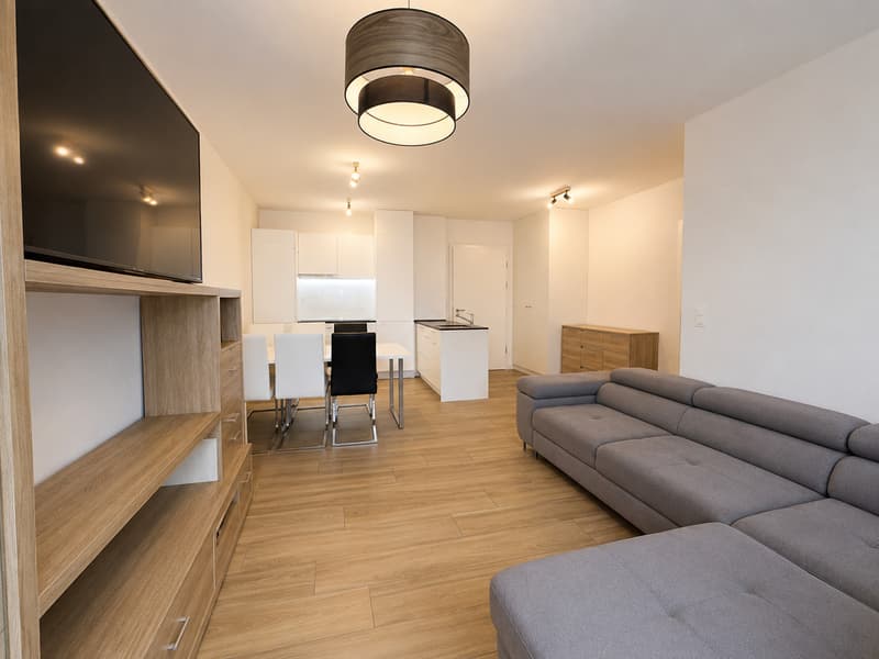Magnifique appartement 2.5 pièces à Uvrier (4)