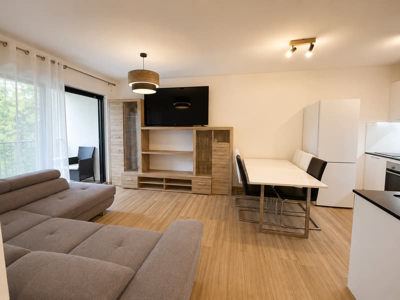 Magnifique appartement 2.5 pièces à Uvrier (2)