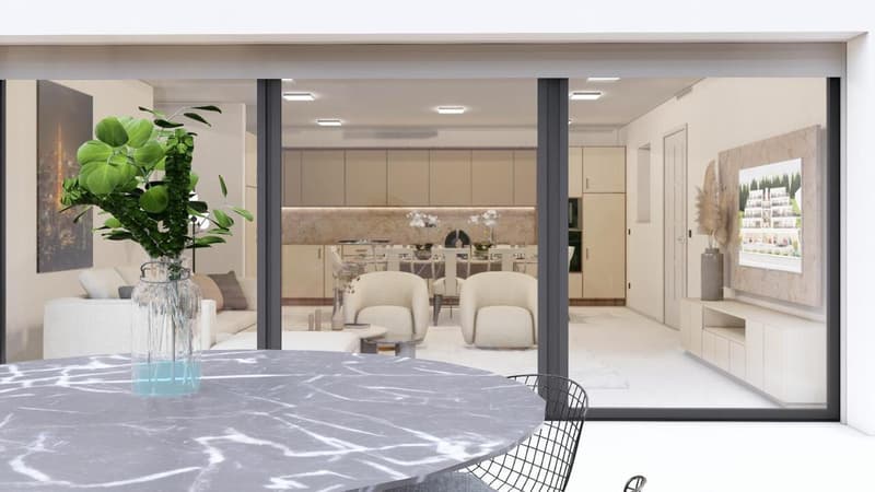 Dernier Appartement-Terrasse disponible (11)