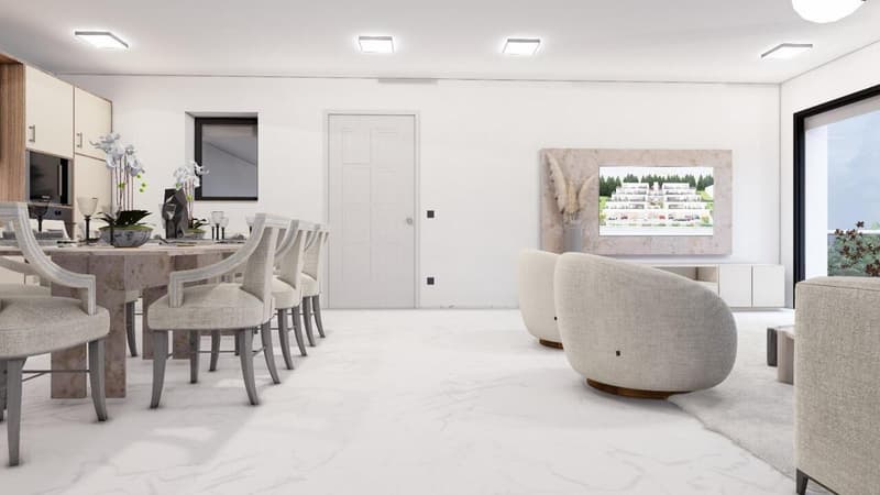 Dernier Appartement-Terrasse disponible (13)