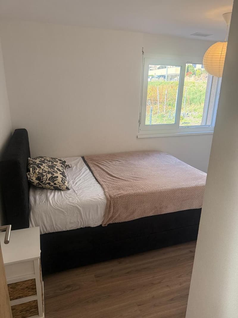 Appartement 4.5 pièces - Leytron (9)