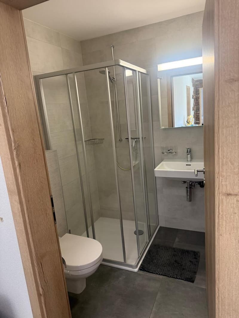 Appartement 4.5 pièces - Leytron (11)